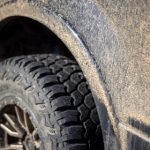 在天地棋牌中体验策略与运气的完美碰撞 0hlbfp1f