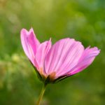 升得源体育在线投注:畅享精彩赛事,尽在指尖体验 40wu9m