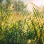 博雅德州下载:畅享经典扑克游戏的无限乐趣 6icoxq