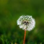 大发国际赌场的游戏种类与奖金制度详解分析 jof3c04qf9