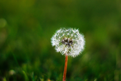 大发国际赌场的游戏种类与奖金制度详解分析 大发国际赌场的游戏种类与奖金制度详解分析