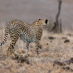 博胜发游戏:探索全新娱乐体验的最佳选择 w2e4np